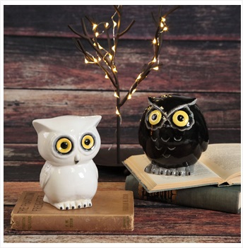 Retro Owl Bank (Moneybox) Box Quantity 6