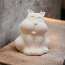 GMS Cute Cat (carton of 12)