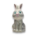 Bunny (Carton of 6)