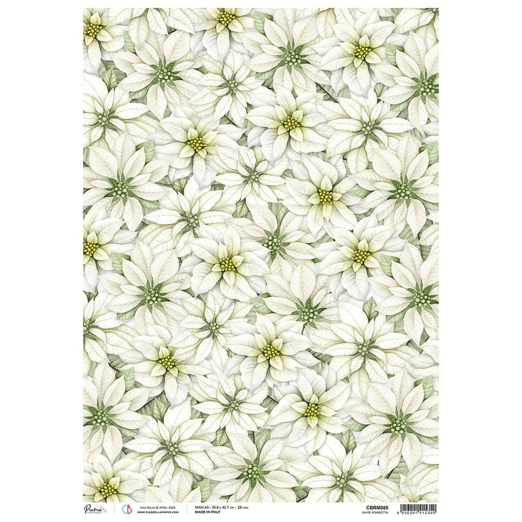 White Poinsettia - Ciao Bella Piuma Rice Paper A3 - 3 Pack