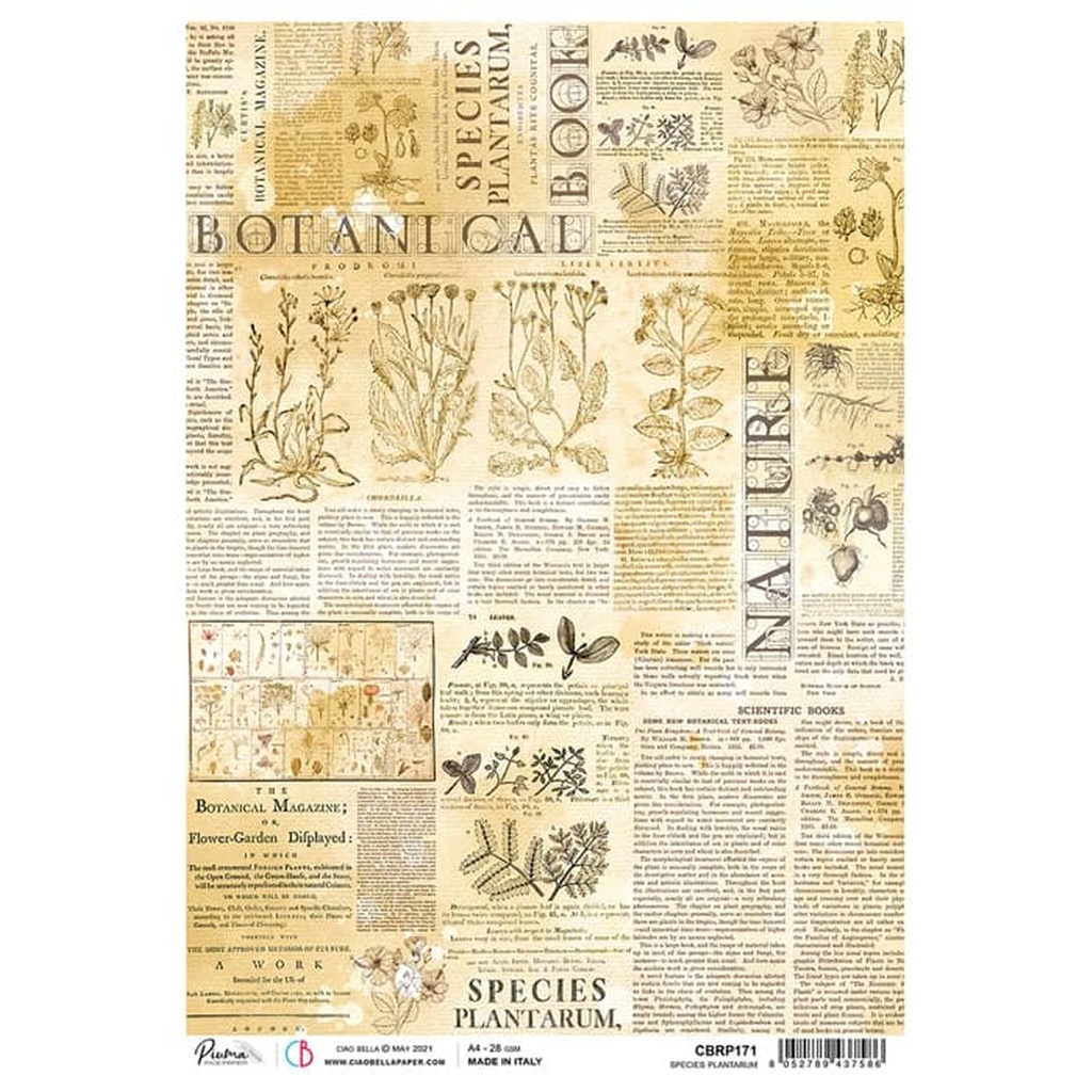 Species Plantarum - Ciao Bella Piuma Rice Paper A4 - 5 Pack