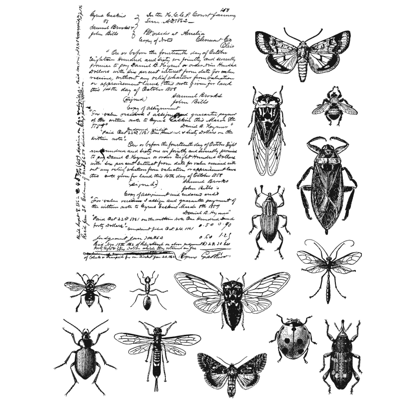 ENTOMOLOGY