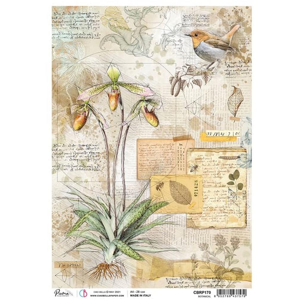 Botanical - Ciao Bella Piuma Rice Paper A4 - Single Sheet