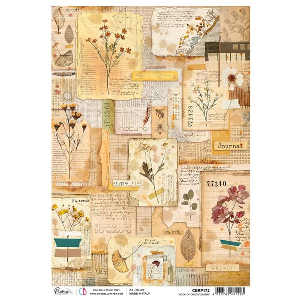 Book Of Dried Flowers - Ciao Bella Piuma Rice Paper A4 - Single Sheet