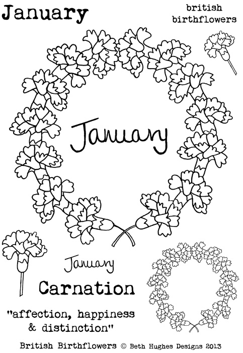 BH British Birth flowers January