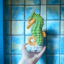 Seahorse (carton of 6)