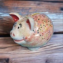 Cute Piggy Bank Money Box (carton of 6)