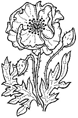 Simple Poppy - Traditional Wood Mounted Stamp