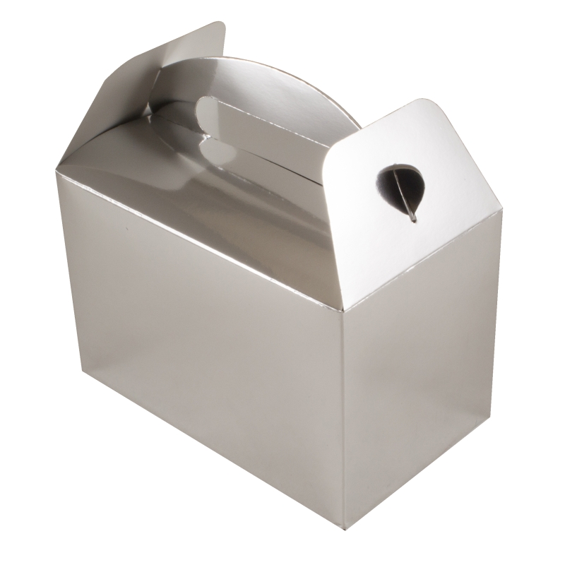 Party or Wedding Favours Box  Metallic Silver - 6 Pieces