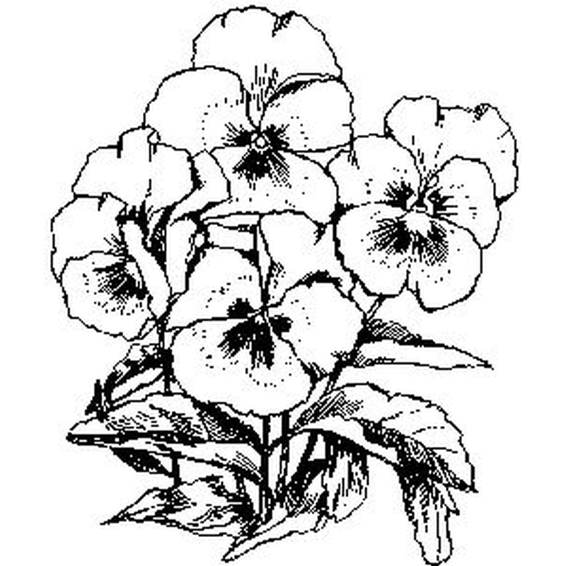 Pansies - Traditional Wood Mounted Stamp