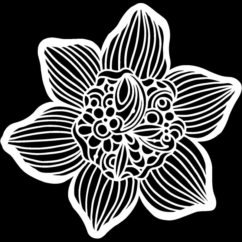 6x6 Stencil Cupped Daffodil