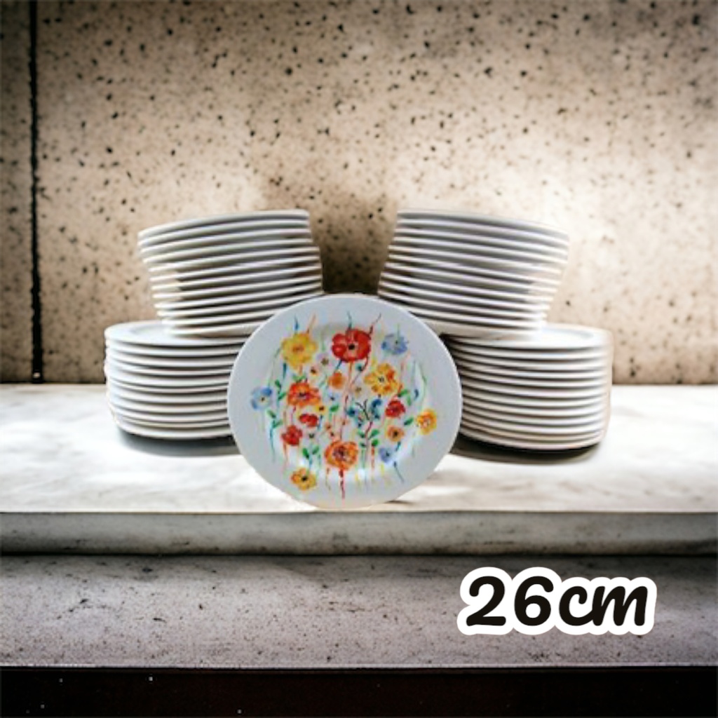 GMS Bulk Buy Plates RIMMED 26cm x 60