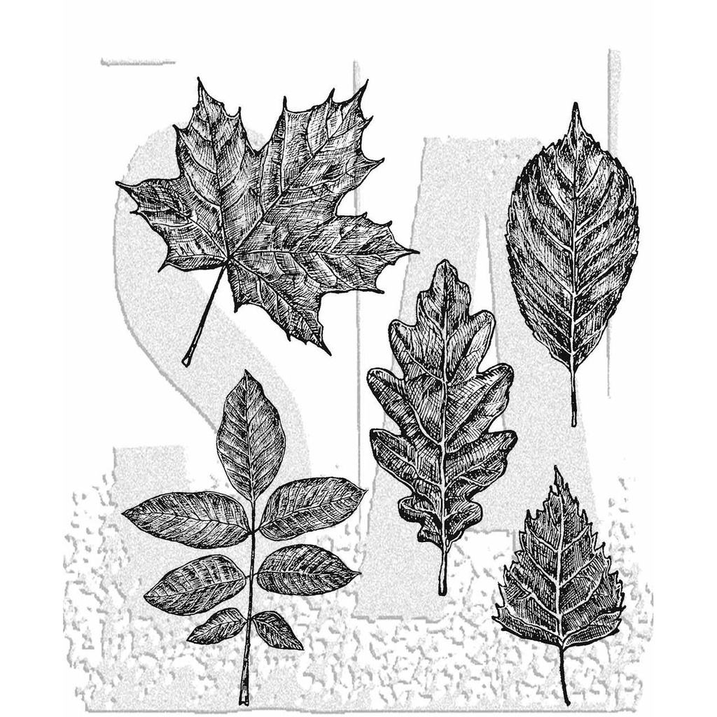 Tim Holtz Cling Stamps - Sketchy Leaves